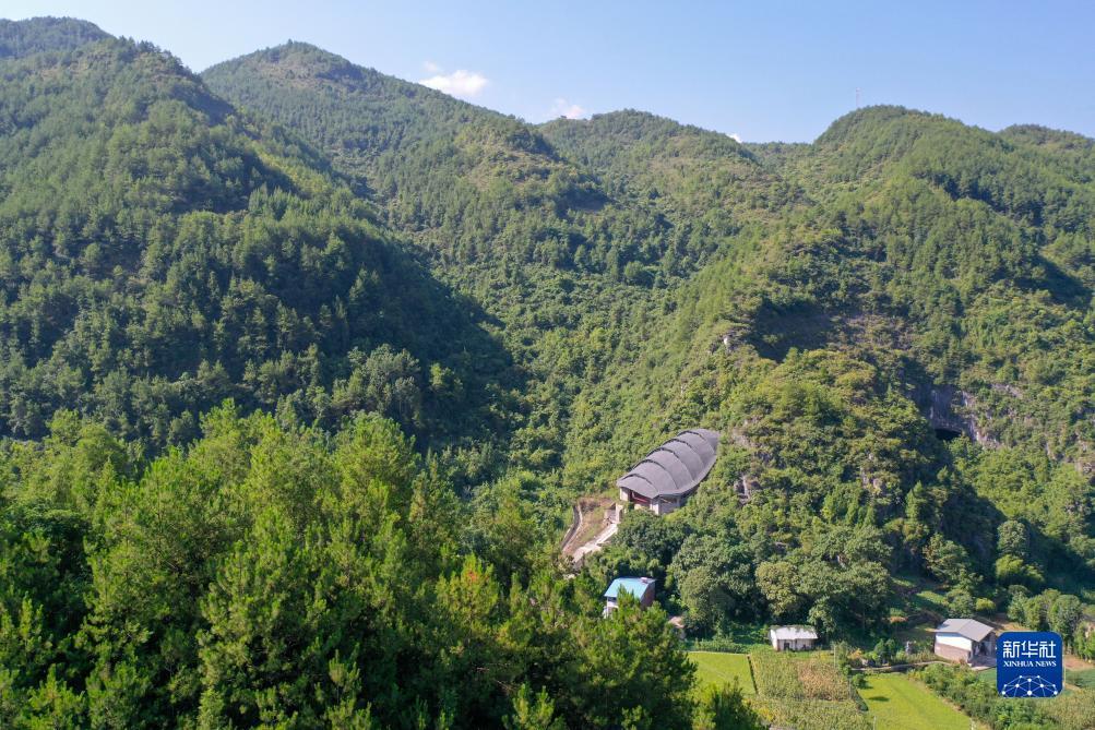 幸运龙老虎机
